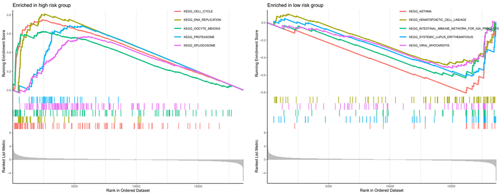 GSEA analysis of high and low risk groups and presentation of the top five analysis results.