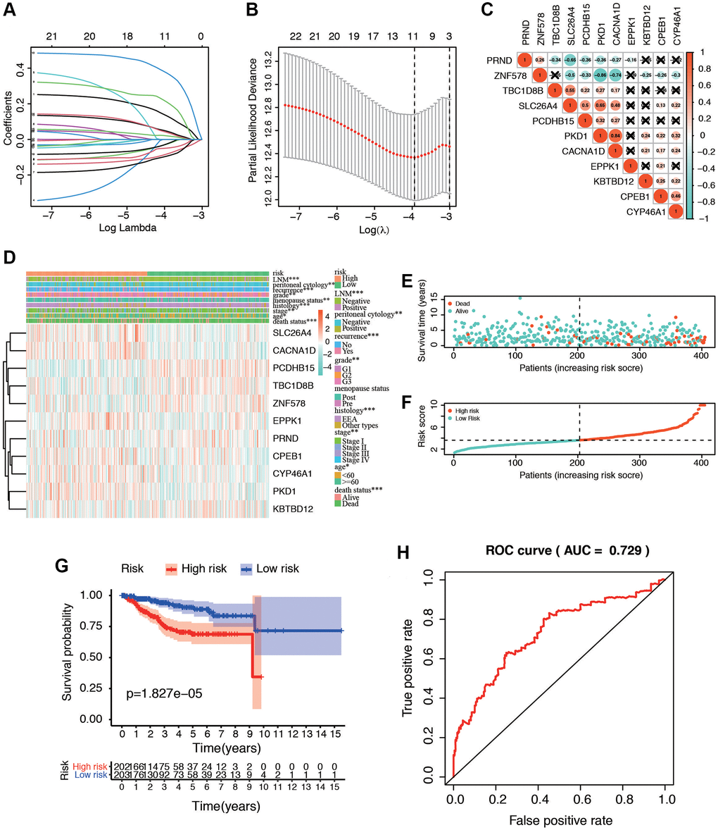 Identification of postmenopausal related prognostic signature in EC patients. (A) Plots of the ten-fold cross-validation error rates. (B) LASSO coefficient profiles of the eleven postmenopausal related genes. (C) Spearman correlation analysis with the selected 11 genes. (D) Heatmap and clinicopathological features of high- and low-risk groups. The samples are ordered by risk score, and the score decreases from left to right. (E, F) Risk score distribution in low- and high-risk groups. (G) Kaplan-Meier survival analysis of the low and high-risk group. (H) Time-dependent ROC curves for overall survival prediction for EC patients.