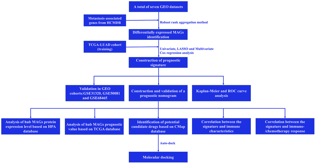 Flow chart of this study.