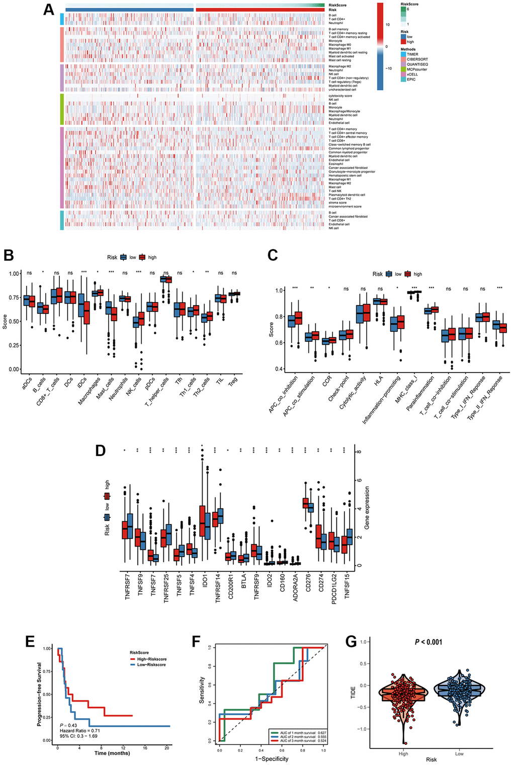 Characteristics of immune microenvironment and immunotherapy sensitivity in two risk factor groups. (A) The heatmap of immune responses. (B) The scores of immune cells and (C) immune-related functions in high and low risk groups. (D) The expression of immune checkpoints among high and low risk groups. (E) Kaplan-Meier survival curve of GSE135222 cohort for PFS. (F) ROC analysis in the GSE135222. (G) Compared the score of TIDE between high and low risk groups. *P **P ***P 