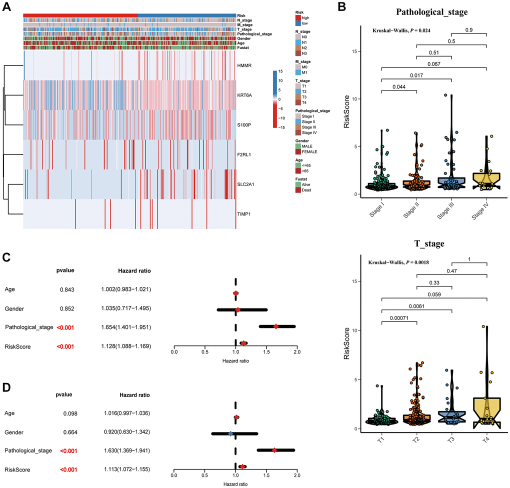 Correlation between the risk score and clinicopathological features. (A) Heatmap and clinicopathological features of patients classified by signature. (B) Boxplots showed the risk score with different pathological