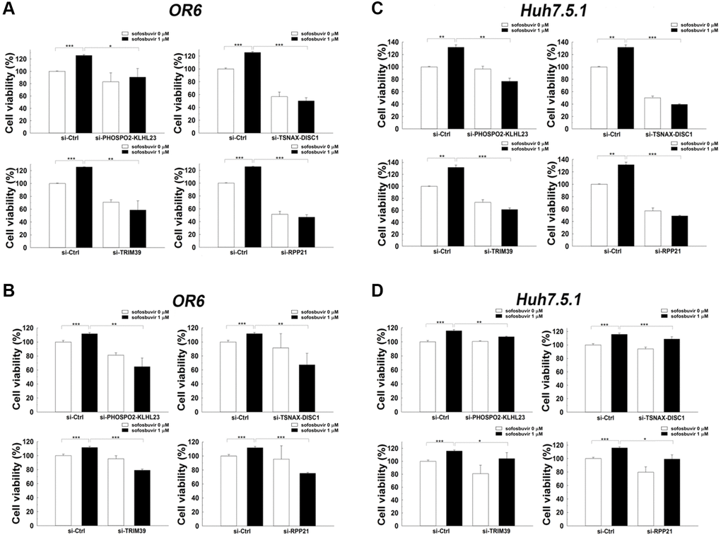 Effects of siRNA against candidate genes on cell proliferation assay in SOF treated OR-6 and Huh 7.5.1 cells. OR-6 (A, B) and Huh 7.5.1 (C, D) cells were transfected with non-targeting siRNA (si-Ctrl) or siRNA against PHOSPHO2-KLHL23, TSNAX-DISC1, TRIM39 and RPP21for 48 hrs. The cells were then treated with SOF 1 μM for 24 hrs. The ATP level in cells were accessed to measure cell proliferation (A, C). In addition, the cells were seeded on 3D culture plates to form tumor sphere in the presence or absence of 1 μM SOF for 24 hrs. The experiments were performed from three independent experiments. (*p **p ***p 