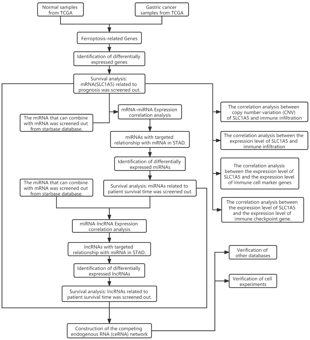 Flow chart of this research showing steps involved in the construction of competing endogenous RNAs networks.