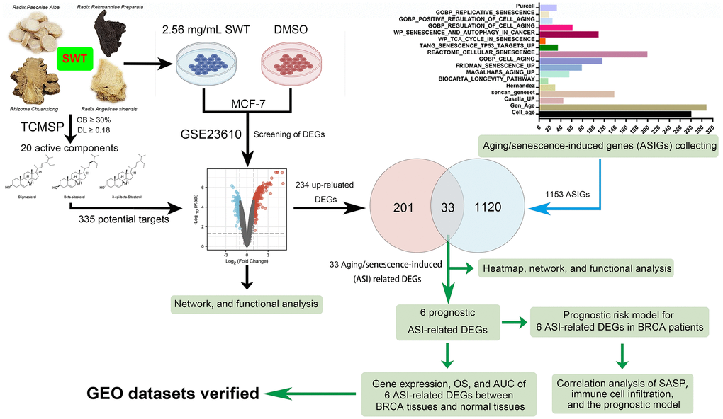 Flowchart of the analytical procedures of the study.