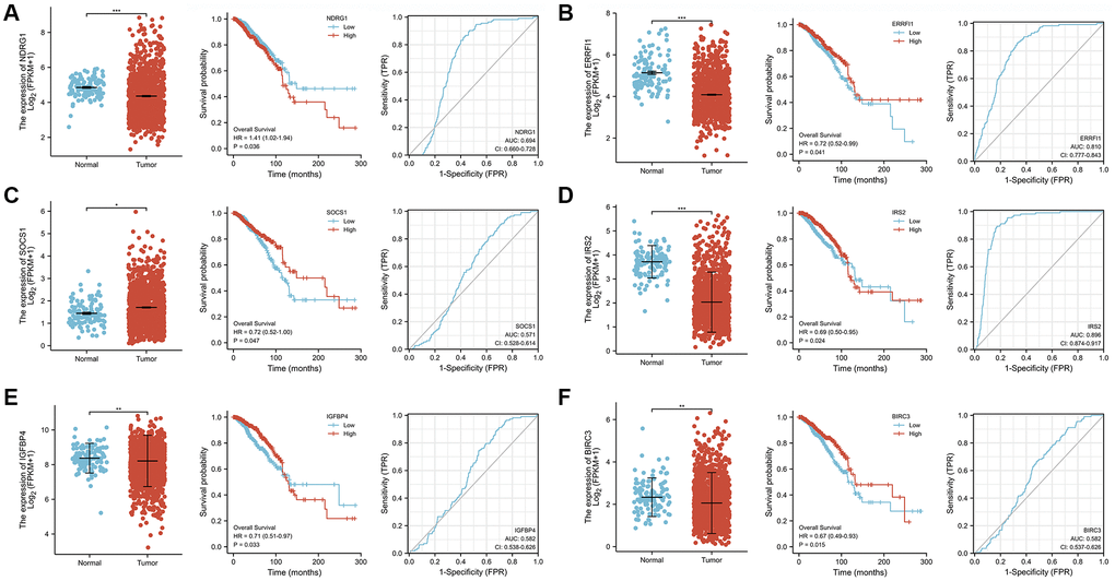 Analysis of gene expression, OS, and AUC of 6 ASI-related DEGs in BRCA tissues and adjacent tissues. (A) NDRG1. (B) ERRFI1. (C) SOCS1. (D) IRS2. (E) IGFBP4. (F) BIRC3.