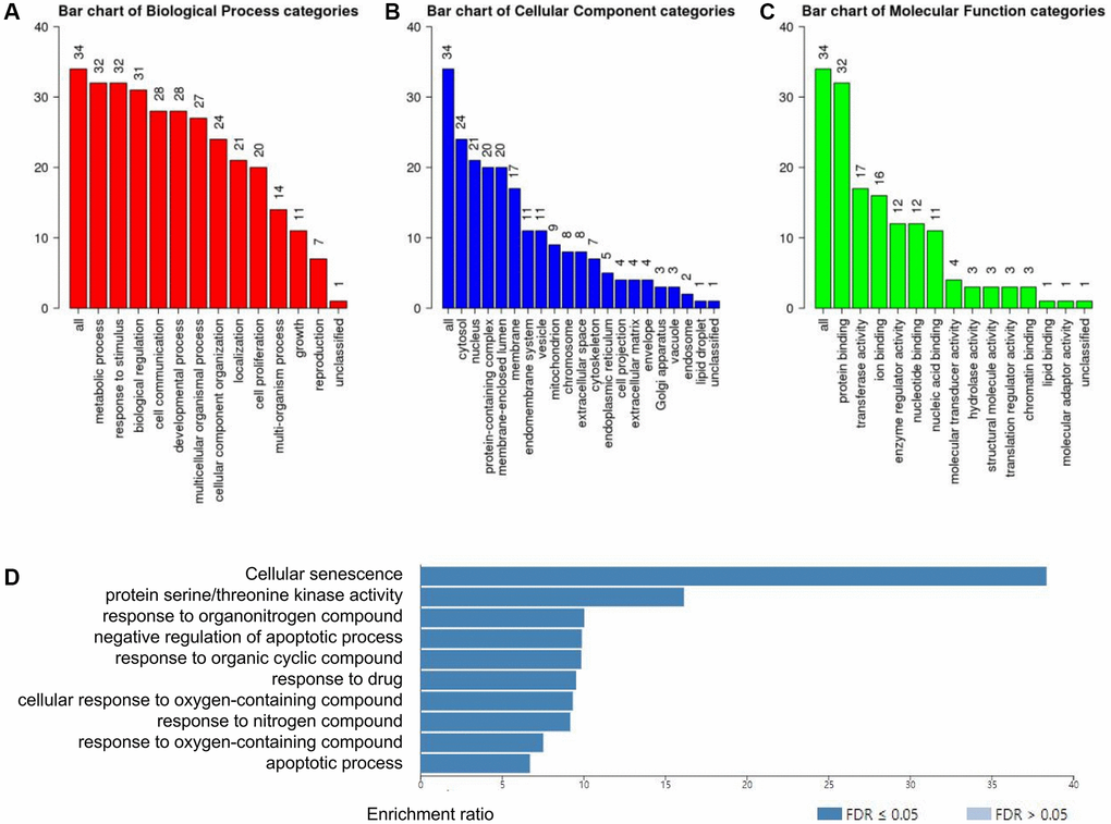 Functional enrichment analysis of the RIPK family in LUAD patients with WebGestalt database. (A–C) Bar plot of GO enrichment in cellular components, biological processes, and molecular functions. (D) The bar plot of KEGG enrichment.