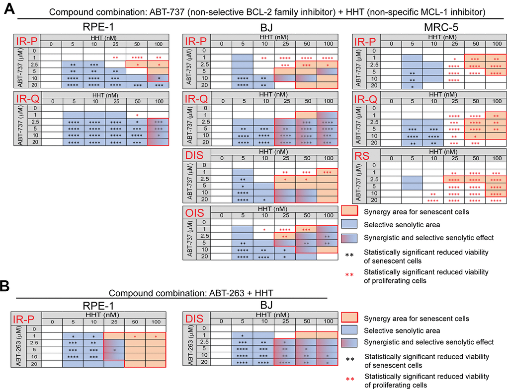 Homoharringtonine augments the senolytic effects of non-selective BCL-2 inhibitors ABT-737 and ABT-263. The matrices show the selective senolytic area (blue), synergy area for senescent cells (orange), and the area with synergistic and senolytic effect (blue-orange) of tested compounds. The synergy and senolytic effect of the combination of homoharringtonine (HHT) and ABT-737 (A) and HHT and ABT-263 (B) on different models of senescence are shown. IR-P – IR-induced senescence derived from proliferating cells; IR-Q – IR-induced senescence derived from quiescent cells; DIS – drug-induced senescence; OIS – oncogene-induced senescence; RS – replicative senescence. The statistical analysis was carried out using the two-tailed Student's t-test; *, P > 0.05; **, P 