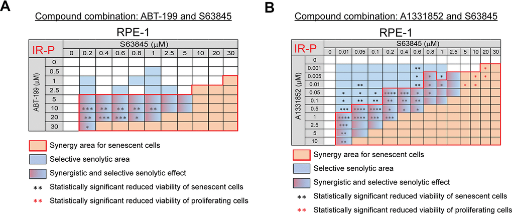 The selective MCL-1 inhibitor S63845 augments the senolytic effects of selective BCL-2 (ABT-199) and BCL-XL (A1331852) inhibitors. The matrices show the selective senolytic area (blue), synergy area for senescent cells (orange), and the area with synergistic and senolytic effect (blue-orange) of tested compounds. The synergy and senolytic effect of the combination of ABT-199 and S63845 (A) and A1331852 and S63845 (B) on the model of IR-induced senescence derived from proliferating cells (IR-P). The statistical analysis was carried out using the two-tailed Student's t-test; *, P > 0.05; **, P 