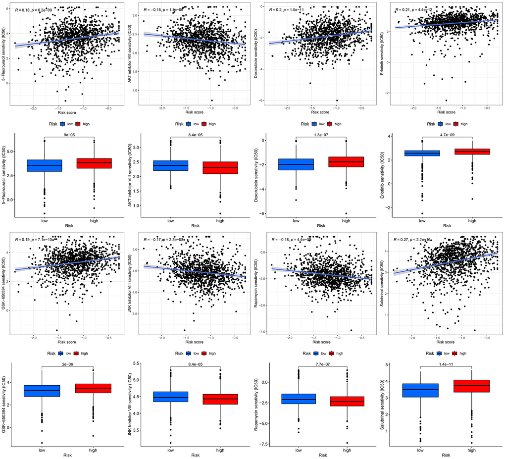 Chemotherapeutic response-prediction of the 13-gene signature.