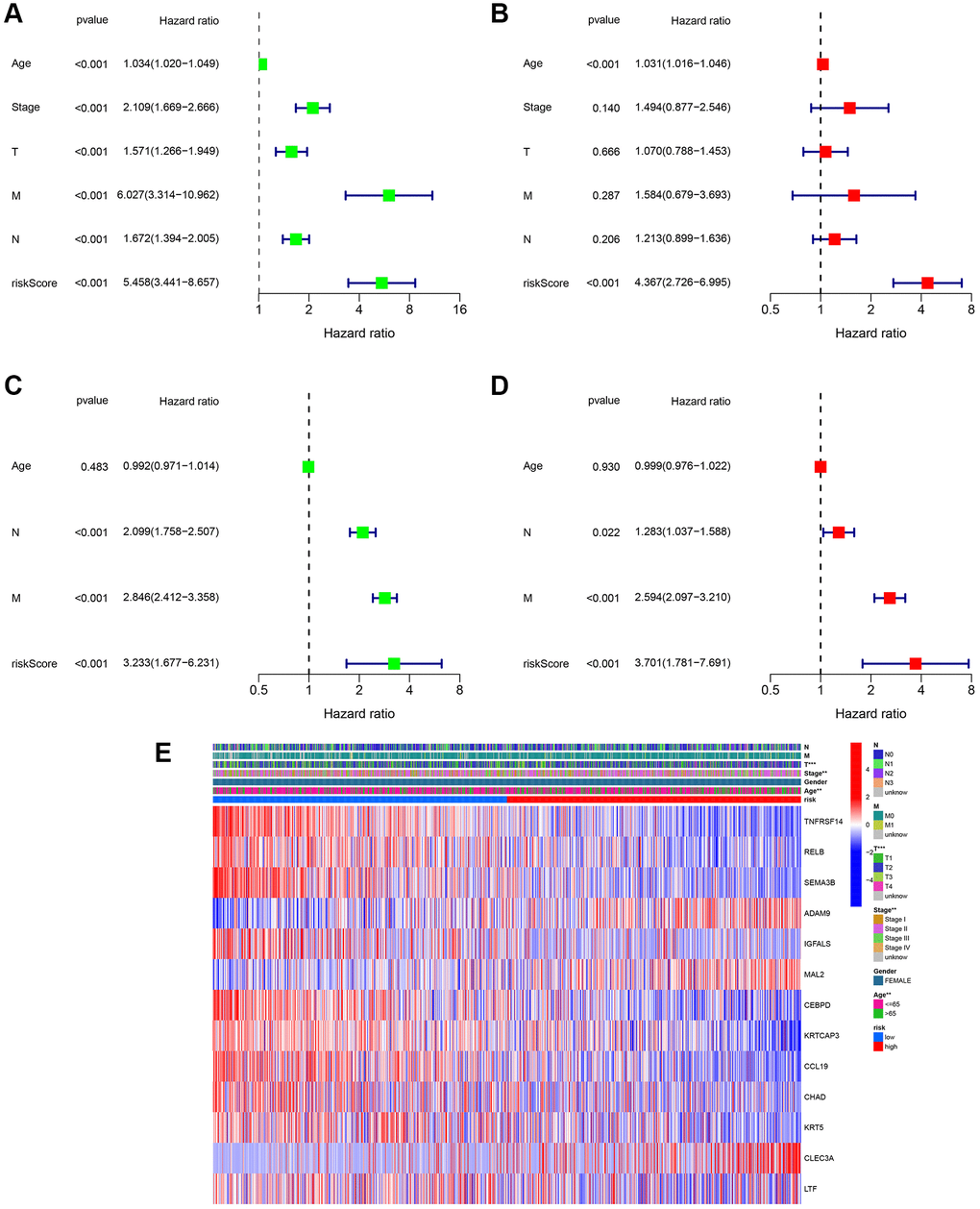 Assessment of the clinical prognostic value of the risk score model in patients with breast cancer (BC) by univariate and multivariate Cox analysis. (A) Univariate independent Cox analysis for TCGA cohort. (B) Multivariate independent Cox analysis for TCGA cohort. (C) Univariate independent Cox analysis for GSE20685. (D) Multivariate independent Cox analysis for GSE20685. (E) Heatmap of the 13-gene signature and clinicopathological manifestations.