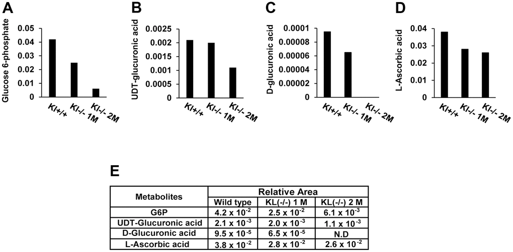 A comparison of the metabolites of ascorbic acid biosynthesis in aging mouse salivary glands. Metabolic profiling was conducted by CE-TOFMS using aging-accelerated mice (SAMP1/kl+/+, SAMP1/kl-/- 1 month, and SAMP1/kl-/- 2 months) (A–D) Changes in intermediates in ascorbic acid metabolism. The relative quantities of detected metabolites are represented as bar graphs (glucose 6-phosphate, UDP-glucuronic acid, D-glucuronic acid, and L-ascorbic acid). (E) Comparisons of the relative amount of ascorbic acid metabolites between SAMP1/kl+/+, SAMP1/kl-/- 1-month-old, and SAMP1/kl-/- 2-month-old mouse salivary glands.