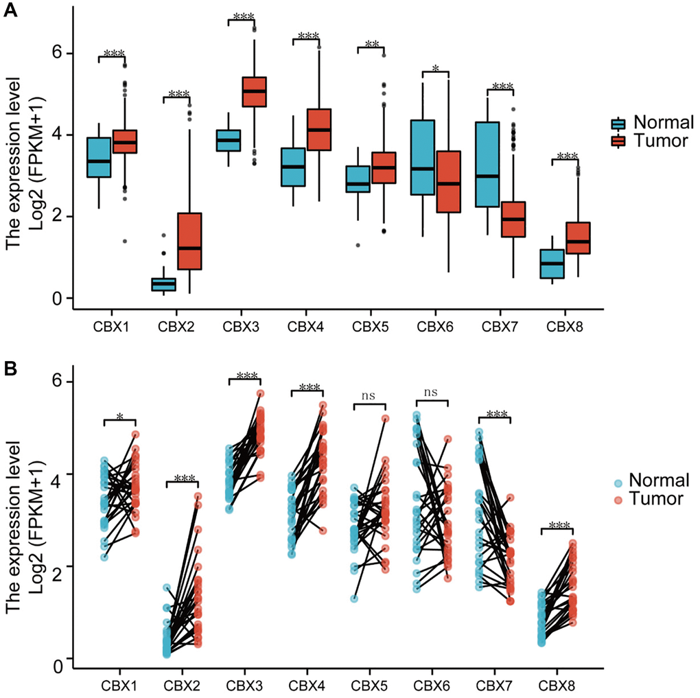 Analysis of CBXs mRNA expression levels. (A) unpaired samples containing 32 normal tissues and 375 gastric cancer tissues; (B) paired samples containing 32 normal tissues and corresponding gastric cancer tissues. Wilcoxon rank-sum test was used. *p **p ***p 