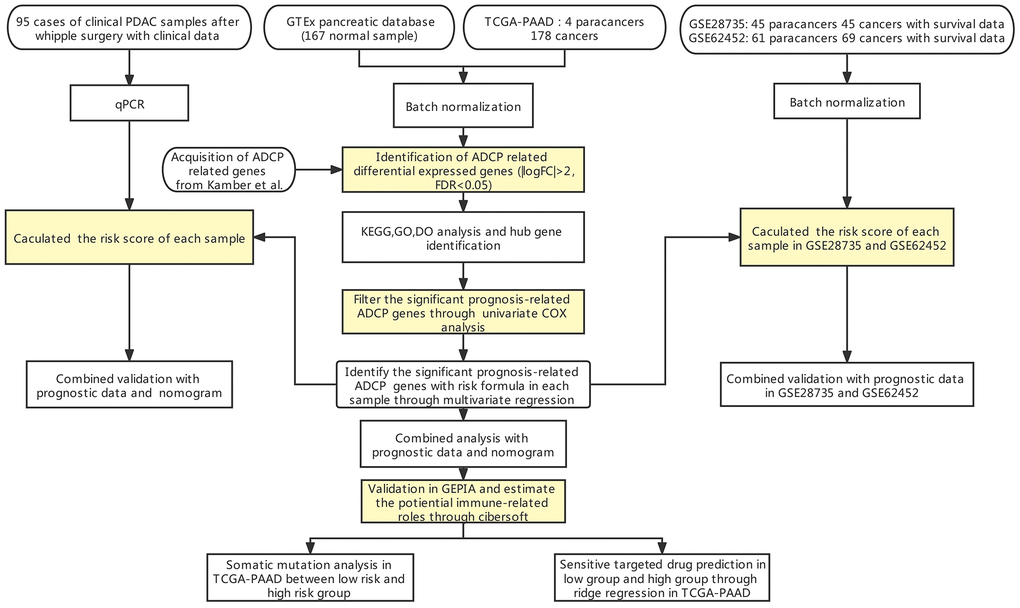 Flow chart of our study.