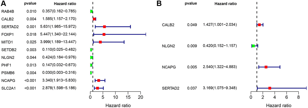 (A) Univariate cox regression of the ARGs in TCGA-PAAD cohort. (B) Multivariate cox regression of the ARGs in TCGA-PAAD cohort.