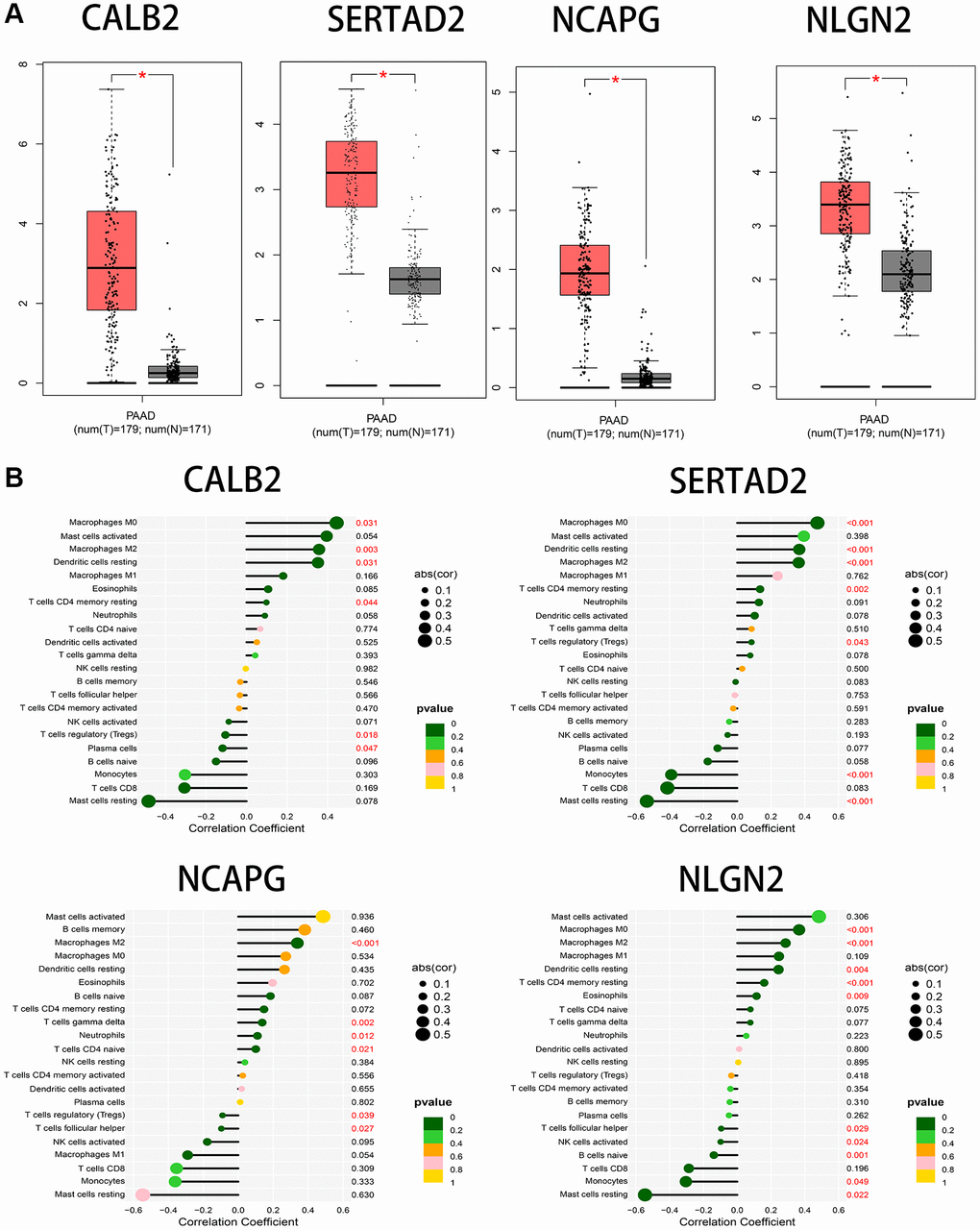 (A) The significant expression between tumor samples and normal samples in GEPIA database. (B) The correlation between immune cells infiltration and the 4 screened ARGs through cibersoft methods.