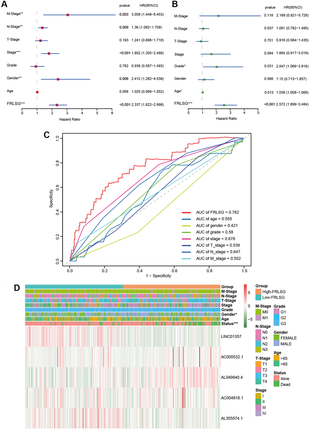 Comparison between FRLSG and clinicopathological characteristics in prognosis predicting power. (A, B) Forest plots demonstrating the FRLSG was an independent prognostic factor for GC. (C) Multi-parameter ROC curve showing the AUC of FRLSG (0.762) was higher than other clinicopathological manifestations. (D) Heatmap showing the clinicopathological characteristics and expression of 5 FRLs in the high- and low-FRLSG groups. *P **P ***P 