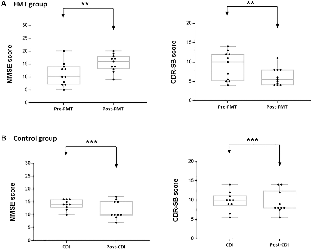 Mini-mental state examination (MMSE) and clinical dementia rating scale sum of boxes (CDR-SB) scores in the study groups. (A) Difference in the MMSE and CDR-SB scores before and after FMT. (B) Difference in the MMSE and CDR-SB scores before and after CDI. **P ***P > 0.05.