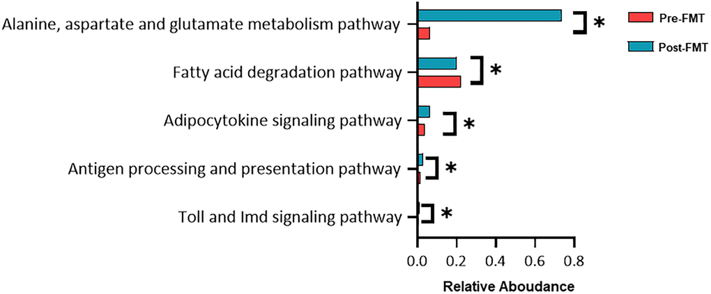 Functional composition difference pre- and post-fecal microbiota transplantation (FMT). Relative abundances of the most abundant microbial pathways among the different groups. Data shown are the means ± SD. *P 