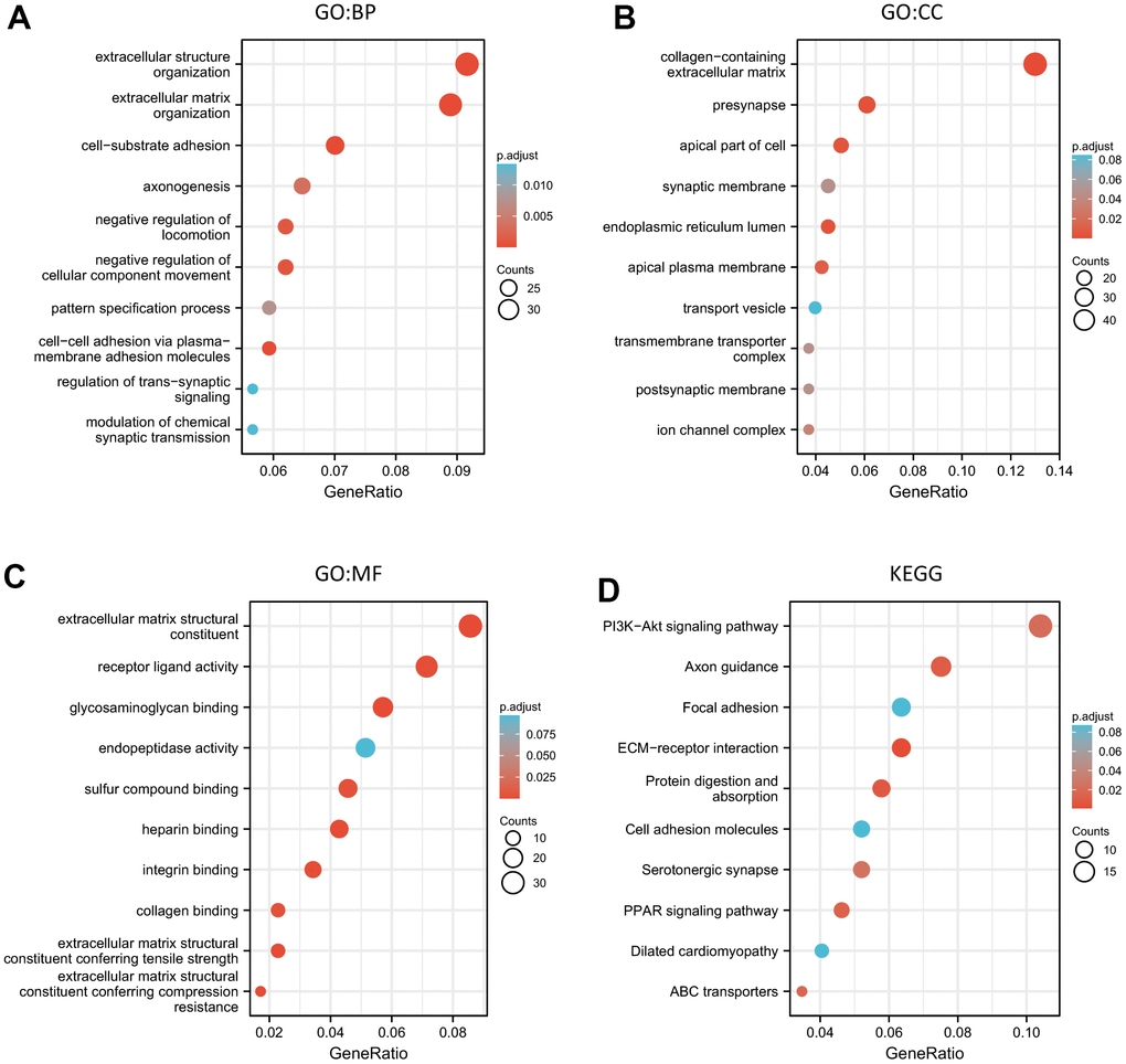 The functional enrichment analysis of the ALKBH family associated co-expressed molecules in breast cancer. (A–C) GO (BP, CC, and MF) analysis of the ALKBH family associated molecules. (D) KEGG pathway analysis of the ALKBH family associated molecules.