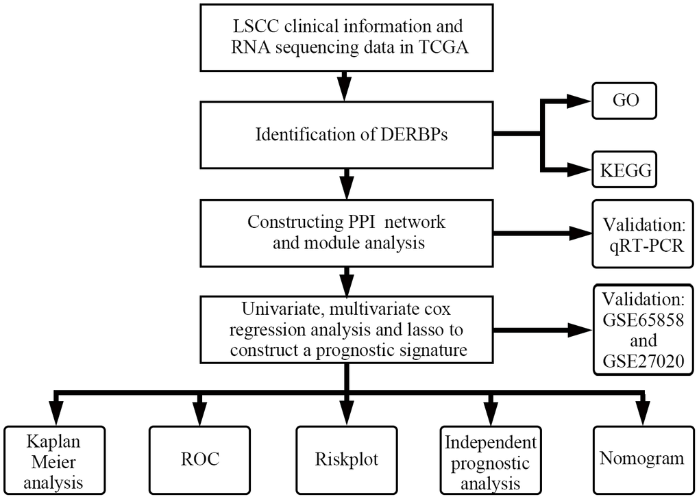 Flowchart of this study.