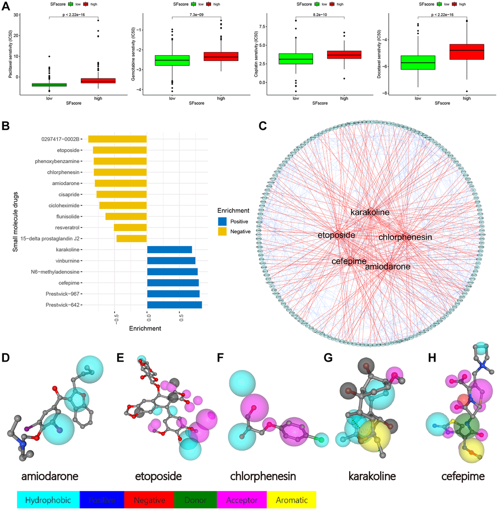 Drug sensitivity analysis and small molecule drugs screening. (A) Low SFscore is more sensitive to sorafenib, paclitaxel, sunitinib, cisplatin, docetaxel, Etoposide, vinorelbine, gemcitabine, gefitinib and vorinostat (p B) Screening of small molecule drugs based on SFscore. (C) Network construction of target protein and five small molecule drugs. (D–H) Druggable pharmacophore models of five small molecule drugs.