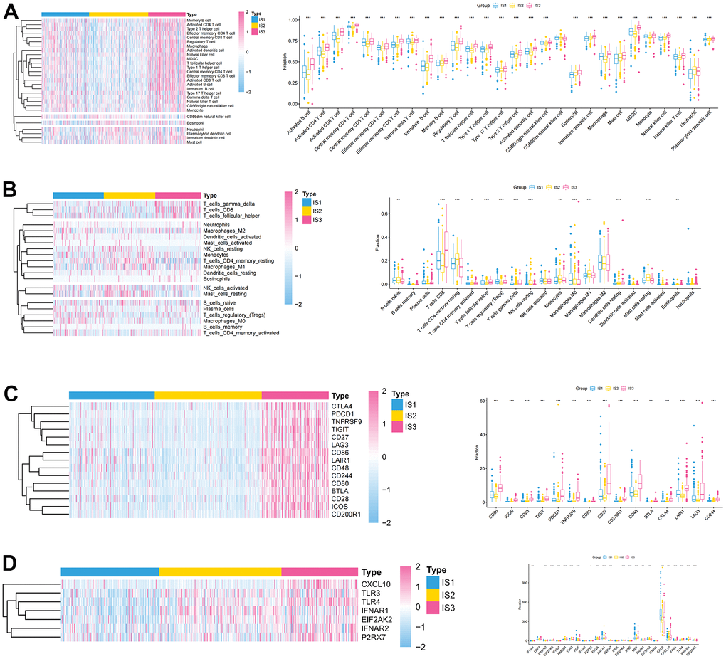 Association between immune subtypes, immune cells, and immune checkpoints. (A, B) Differential expression of immune cells among the ccRCC immune subtypes (A) ssGSEA; (B) CIBERSORT. (C) Differential expression of immune checkpoints among the ccRCC immune subtypes in TCGA cohorts. (D) Differential expression of ICD modulators among the ccRCC immune subtypes in TCGA cohorts.