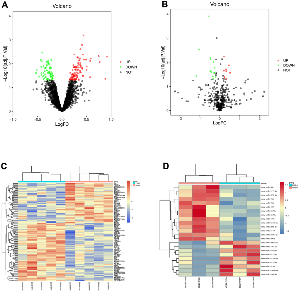 Screening of differential gene (DEG). (A, B) showed the volcano plot of visual grouping of DEGs in the dataset GSE104656 and GSE62819. (C, D) represented the cluster analysis heat map of DEGs in the dataset GSE104656 and GSE62819.