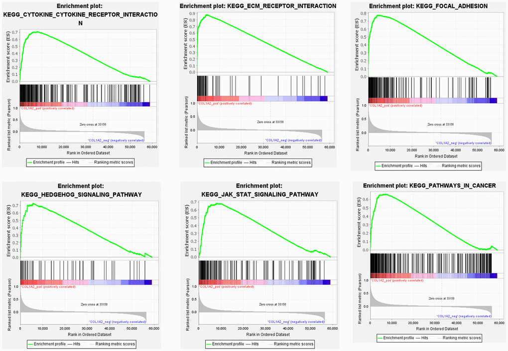 Gene set enrichment analysis of COL1A2 in colon adenocarcinoma.