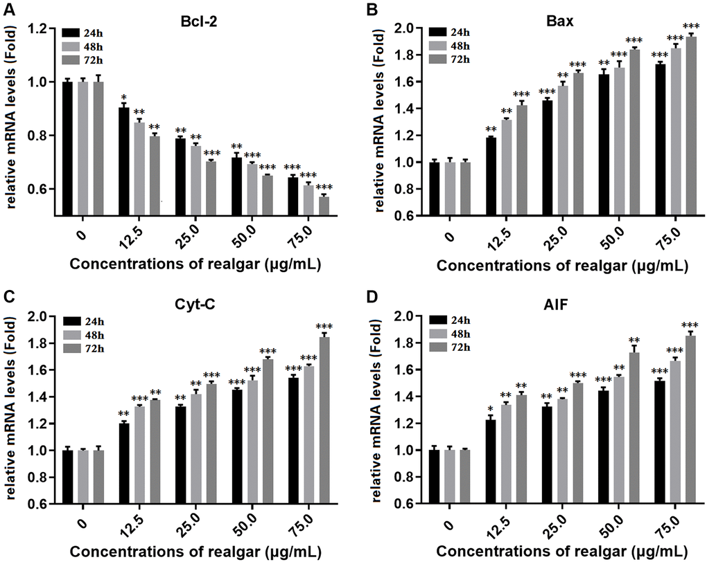 Measurement of the gene expression of Bcl-2, Bax, Cyt-C and AIF. NB4 cells were treated with different concentrations of realgar (0, 12.5, 25.0, 50.0 and 75.0 μg/ml) for 24, 48 and 72 h, and the mRNA expression levels of Bcl-2, Bax, Cyt-C and AIF were compared to those in untreated cells. (A) Bcl-2 mRNA level; (B) Bax mRNA level; (C) Cyt-C mRNA level and (D) AIF mRNA level. The results are expressed as the mean ± S.D. (standard deviation) of three independent experiments. *P **P ***P 