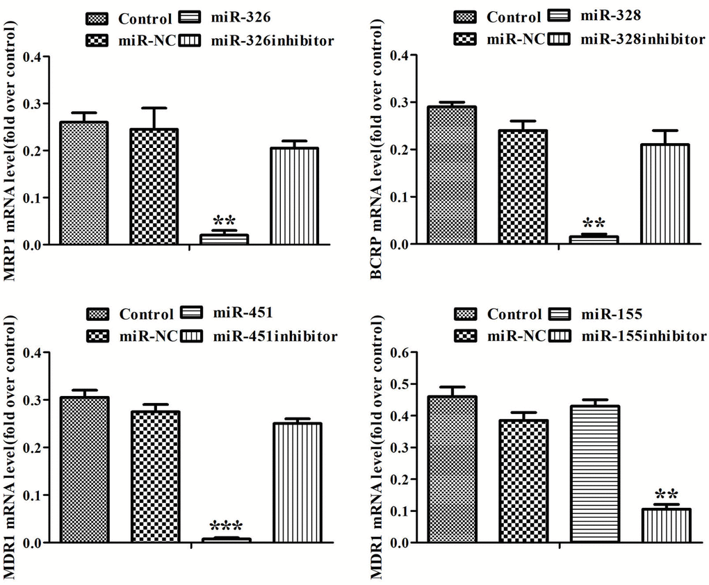 MiRNAs regulated the expression of MRP1, BCRP, MDR1 genes. The expression levels of MRP1, BCRP and MDR1 in MCF-7/ADR cells and MCF-7/ADR cells transfected with miRNAs were detected by Real-time RT-PCR. All data represent the means ± SD of three independent experiments. **P ***P  0.001, comparing with control group.