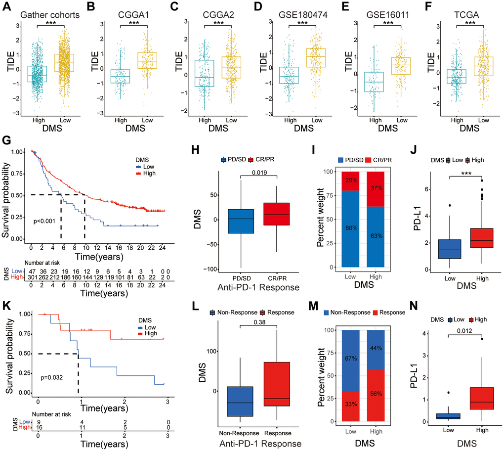 The relationship between DMS and response to anti-PD-1/L1 immunotherapy. (A–F) Distribution of TIDE scores between high and low DMS subgroups in the gather glioma cohorts, as well as CGGA1, CGGA2, GSE180474, GSE16011 and TCGA datasets, respectively. (G–I) Survival analyses with the OS (G), clinical response to anti PD-1 immunotherapy (H), proportion of patients responding to PD-1 blockade immunotherapy (I), differences in PD-L1 expression (J) based on the low and high DMS subgroups in the IMvigor210 cohort. (K–N) Survival analyses with the OS (K), clinical response to anti PD-1 immunotherapy (L), proportion of patients responding to PD-1 blockade immunotherapy (M), differences in PD-L1 expression (N) based on the low and high DMS subgroups in the GSE78220 cohort. Note: ns P > 0.05; *P **P ***P 