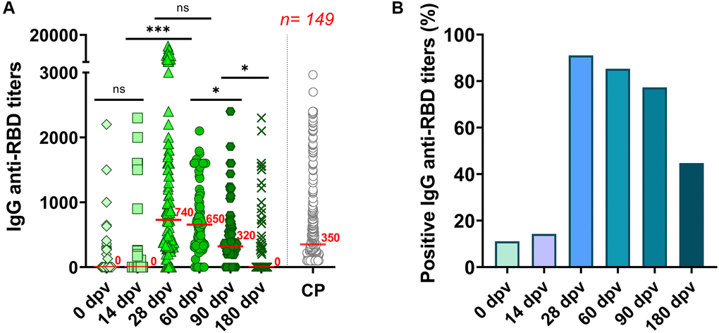 Humoral immune response to the Gam-COVID-Vac in 149 elderly individuals. (A) A cross-sectional study of IgG anti-RBD titers measured by ELISA in serum samples taken at 0, 14, 28, 60, 90 and 180 days’ post-vaccination (dpv). CP: SARS-CoV-2 Convalescent plasm (n = 309) analyzed with the same ELISA platform [17]. Statistical analyses were performed with Kruskal-Wallis test with two-stage linear step-up procedure of Benjamini, Krieger and Yekutieli. ***p *p B) Percentage of anti-RBD seropositive responses to the Gam-COVID-Vac vaccine in the population studied.