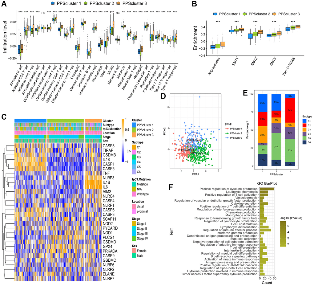 TME cell infiltration characteristics in distinct pyroptosis patterns. (A) The abundance of each TME infiltrating cell in three pyroptosis patterns (*P **P ***P B) Differences in stroma-activated pathways in three pyroptosis patterns (*P **P ***P C) Unsupervised clustering of 30 PRGs in the GSE39582 cohort. Clinicopathological information including tumor subtype, tp53 mutation, tumor location, tumor stage, and gender as well as the pyroptosis cluster, were shown in annotations above. Orange represented the high expression of genes and blue represented the low expression. (D) Principal component analysis of the transcriptome maps of the three pyroptosis patterns showed that there were significant differences among them. (E) The proportion of six molecular subtypes in GSE39582 cohort among three pyroptosis patterns. (F) The gene ontology enrichment analysis functionally annotates DEGs related to the pyroptosis patterns.