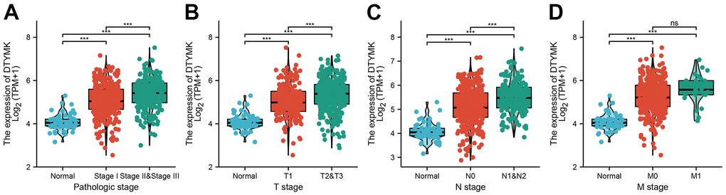 Clinical significance of DTYMK in lung adenocarcinoma. Correlation between DTYMK expression and clinical parameters, including (A) pathological stage, (B–D) TNM stage NS: P >0.05, ***P 