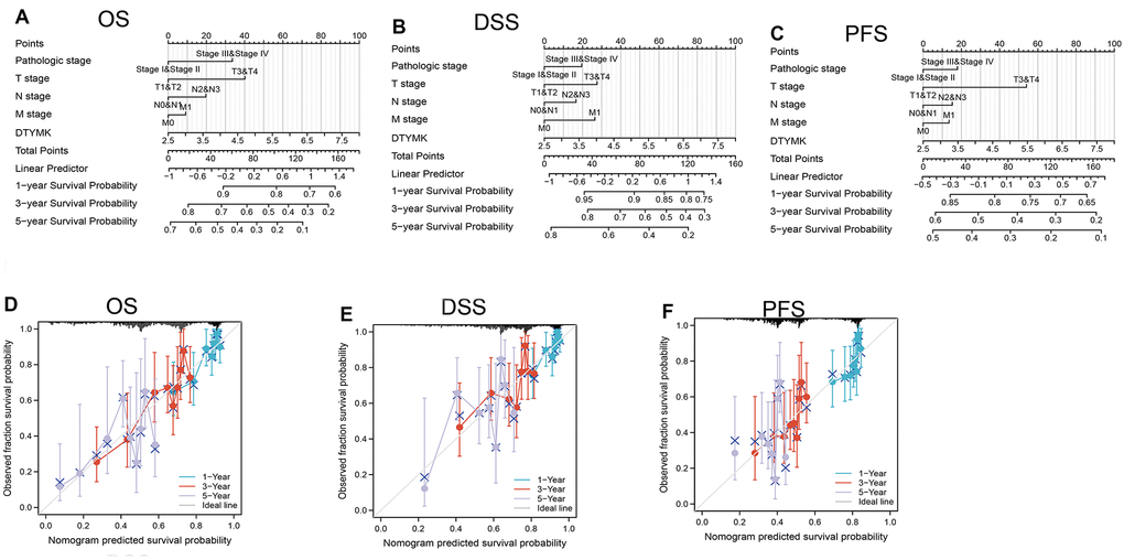 Construction and performance validation of the DTYMK based nomogram for lung adenocarcinoma patients. Nomogram to predict the (A) overall survival, (B) disease-specific survival, and (C) progression-free survival for lung cancer patients. The calibration curve and Hosmer–Lemeshow test of nomograms in the TCGA- lung adenocarcinoma cohort for (D) overall survival, (E) disease-specific survival and (F) progression-free survival.