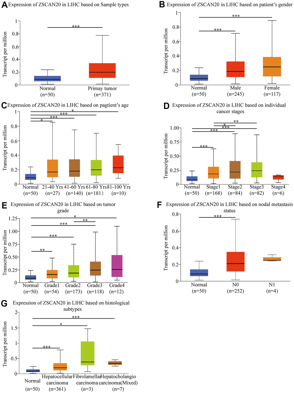 Box-plots exploring the relationship between ZSCAN20 expression and clinicopathological characteristics (UALCAN). Increased ZSCAN20 expression was significantly with (A) sample type, (B) gender, (C) age, (D) cancer stage, (E) tumor grade, (F) nodal metastasis status. (G) histological subtype *P P P 