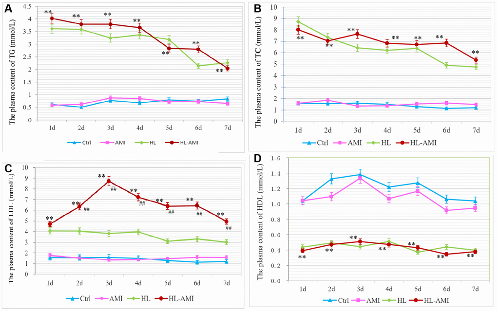 Change in the plasma content of TG, TC, LDL-C and HDL in each group rats during 7 days after AMI. (A–D) The plasma concentration of TG (A), TC (B), LDL-C. (C) and HDL-C (D) in rats of the Ctrl, HL, AMI, and HL-AMI group respectively. *, **, P P 