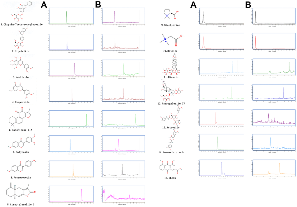 The extracted ion chromatograms of JPYS decoction. The extracted ion chromatograms of mixed standards (A); The extracted ion chromatograms of JPYS sample: 1.Calycosin-7-O-β-D-glucoside (CAS: 20633-67-4, MRM: 447.01/285.1, retention time: 4.343 min); 2. liquiritin (CAS: 551-15-5, MRM: 419.01/257.2, retention time: 4.463 min); 3. nobiletin CAS: 478-01-3, MRM: 403.01/373.2, retention time: 7.615 min); 4.hesperetin (CAS: 69097-99-0, MRM: 303.01/177.1, retention time: 6.591 min); 5. Tanshinone IIA (CAS: 568-72-9, MRM: 295.01/189.2, retention time: 10.986 min); 6.calycosin (CAS: 20575-57-9, MRM: 285.01/270.1, retention time: 5.767 min); 7. formononetin (CAS: 485-72-3, MRM: 269.01/197.1, retention time: 7.042 min); 8. atractylenolide I (CAS: 73069-13-3, MRM: 231.01/77.2, retention time: 10.185 min); 9. stachydrine (CAS: 471-87-4, MRM: 144.01/58.3, retention time: 1.000 min); 10. betaine (CAS: 478-01-3, MRM: 118.01/58.3, retention time: 1.092 min); 11. dioscin (CAS: 19057-60-4, MRM: 867.99/867.5, retention time: 8.656 min); 12. astragaloside IV (CAS: 96574-01-5, MRM: 783.99/783.5, retention time: 6.442 min); 13. acteoside (CAS: 61276-17-3, MRM: 622.99/161.1, retention time: 4.395 min); 14. rosmarinic acid (CAS: 20283-92-5, MRM: 358.99/161.1, retention time: 4.989 min); 15. rhein (CAS: 478-43-3, MRM: 282.99/239.1, retention time: 7.507 min) (B).