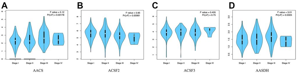 The relationship between the expression of the ACSF gene family and the pathological stage of HCC patients (GEPIA). (A–D) GEPIA databases were used to evaluate the correlations of the ACSF gene family with the pathological stage of HCC patients.