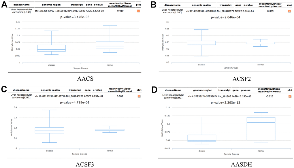 The methylation levels of the ACSF gene family in HCC tissues. (A–D) The methylation values of (A) AACS, (B) ACSF2, (C) ACSF3, (D) AASDH were evaluated using the Diseasemeth database.