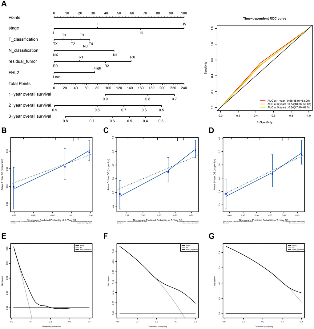 The ROC curves and nomogram about FHL2 and overall survival in lung cancer. (A) ROC curves evaluating the value of FHL2 for predicting overall survival in lung cancer patients. (B) Nomogram predicted 1-year overall survival versus actual 1-year overall survival. (C) Nomogram predicted 3-year overall survival versus actual 3-year overall survival. (D) Nomogram predicted 5-year overall survival versus actual 5-year overall survival. (E–G) Decision curve analysis reflects the feasibility of FHL2 in predicting 1-year, 3-year, and 5-year overall survival of patients.