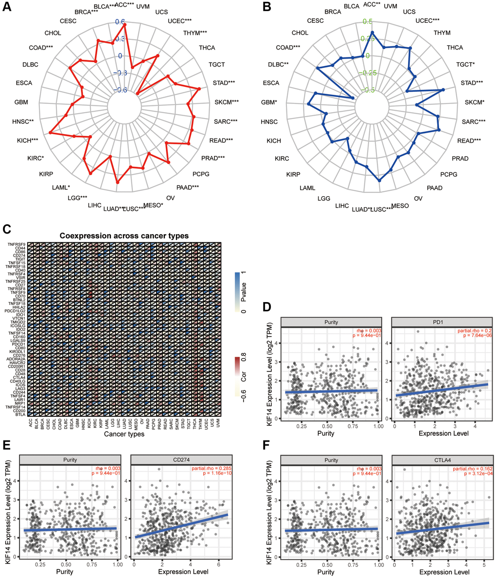 Association between KIF14 expression and immune infiltration in LUAD. (A–C) The association of KIF14 expression with TMB (A), MSI (B) and immune checkpoint-related genes (C) in pan-cancer. (D–F) The associations of KIF14 expression with PD-1 (D), CD274 (E) and CTLA4 (F) expression in LUAD, which were determined using the TIMER database. *P-value **P-value ***P-value 