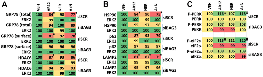 BAG3 is essential for drug-induced degradation of GRP78. (A–C) HCN2 cells were transfected with a scrambled siRNA or with an siRNA to knock down BAG3 expression. After 24h, cells were treated with vehicle control, AR12 (2 μM), neratinib (50 nM) or the drugs in combination for 6h. Cells were fixed in place and immunostaining performed to determine the expression of GRP78 (total and cell surface), HDAC6, HSP90, p62, LAMP2, PERK, P-PERK T980, eIF2α and P-eIF2α S51 and ERK2. (n = 3 +/-SD) * p 