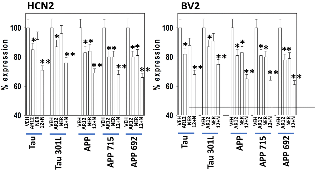 AR12 and the drug combination reduce the expression of mutant forms of TAU and APP. HCN2 and BV2 cells were transfected with plasmids to express wild type TAU or TAU 301L. After 24h, cells were treated with vehicle control, AR12 (2 μM), neratinib (50 nM) or the drugs in combination for 6h. Cells were fixed in place and immunostaining performed to determine the expression of TAU, TAU 301L and ERK2. (n = 3 +/-SD) * p 