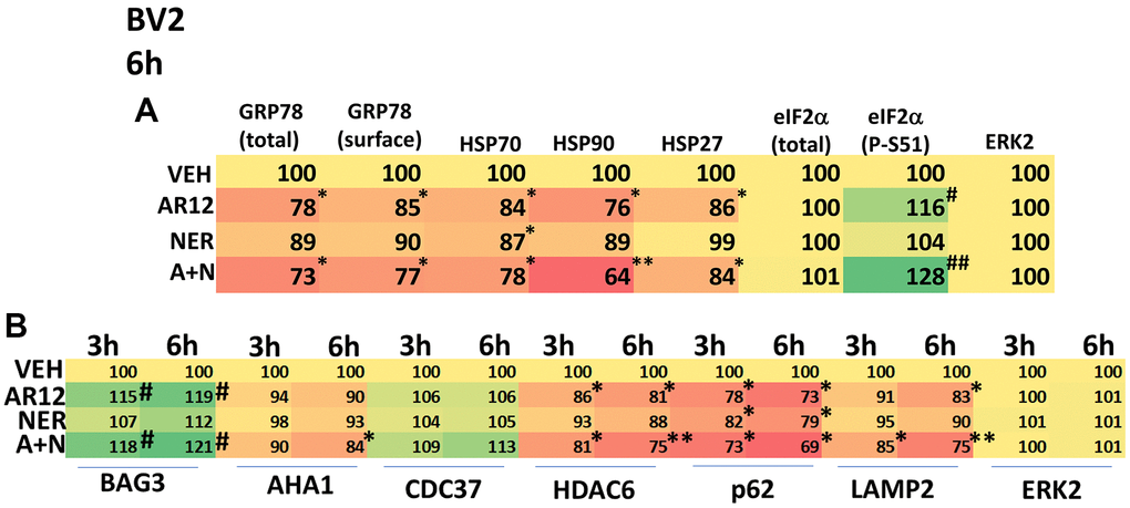 AR12 and neratinib reduce chaperone expression and enhance ER stress signaling in microglia. (A) BV2 microglial cells were treated with vehicle control, AR12 (2 μM), neratinib (50 nM) or the drugs in combination for 6h. Cells were fixed in place and immunostaining performed to determine the expression of GRP78 (total and cell surface), HSP70, HSP90, eIF2α and ERK2, and the phosphorylation of eIF2α S51. (n = 3 +/-SD) * p B) BV2 microglial cells were treated with vehicle control, AR12 (2 μM), neratinib (50 nM) or the drugs in combination for 3h and 6h. Cells were fixed in place and immunostaining performed to determine the expression of BAG3, AHA1, CDC37, HDAC6, p62, LAMP2 and ERK2. (n = 3 +/-SD) * p 