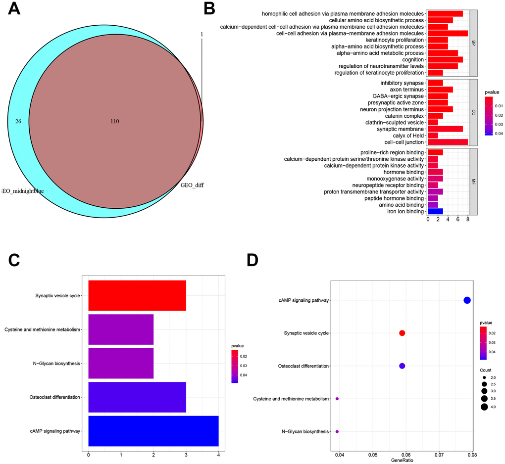 Enrichment and pathways analysis. (A) Venn diagrams of DEG list and highly-related gene list. (B) GO enrichment analysis of 130 gens. (C, D) KEGG pathway analysis of 130 genes.