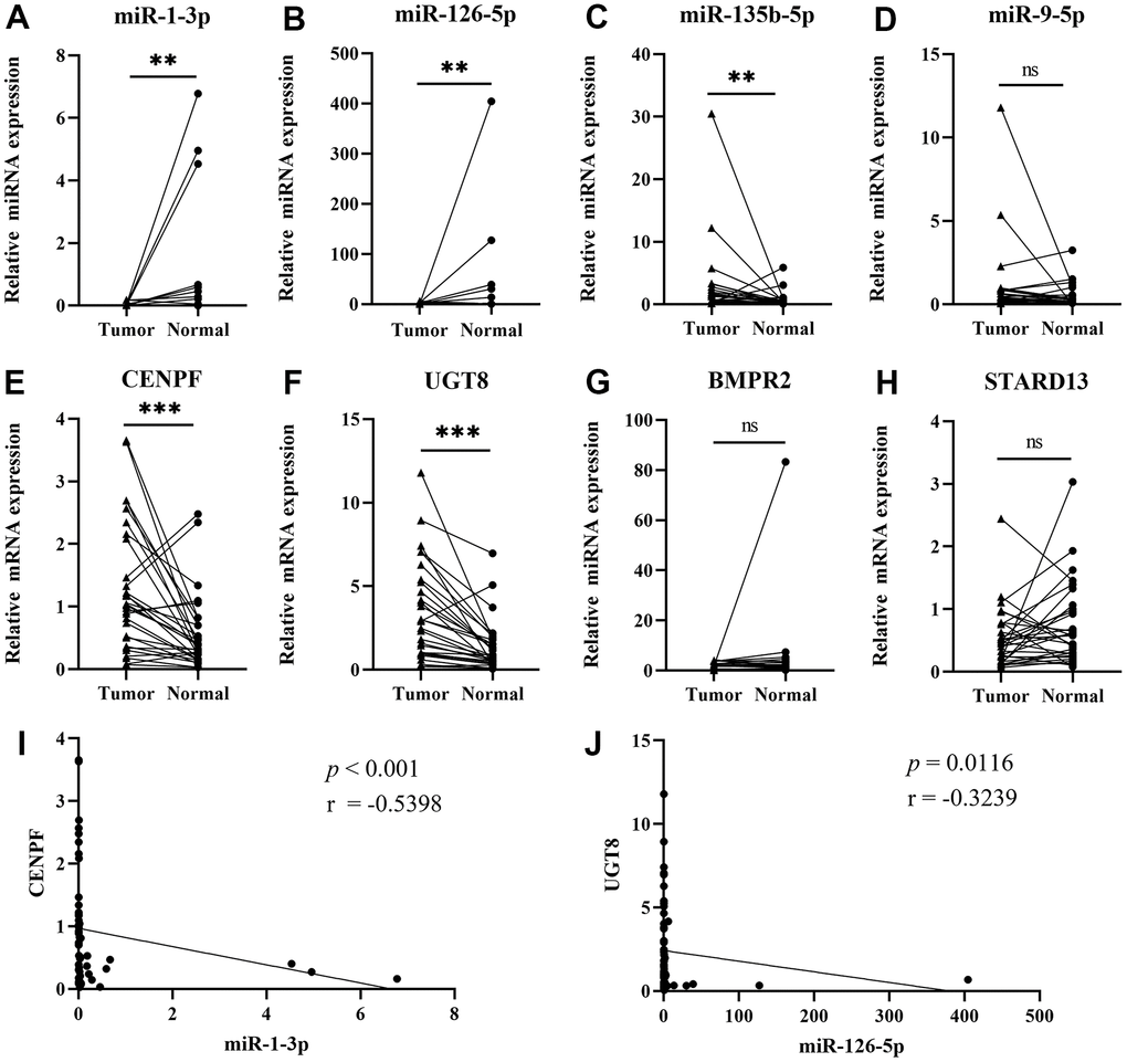 Validating the expression of the four networks by qRT-PCR. (Data are presented as mean±SEM; *p p p A) miR-1-3p; (B) miR-126-5p; (C) miR-135b-5p; (D) miR-9-5p; (E) CENPF; (F) UGT8; (G) BMPR2; (H) STARD13; (I) Pearson’s correlation analysis of miR-1-3p and CENPF; (J) Pearson’s correlation analysis of miR-126-5p and UGT8.