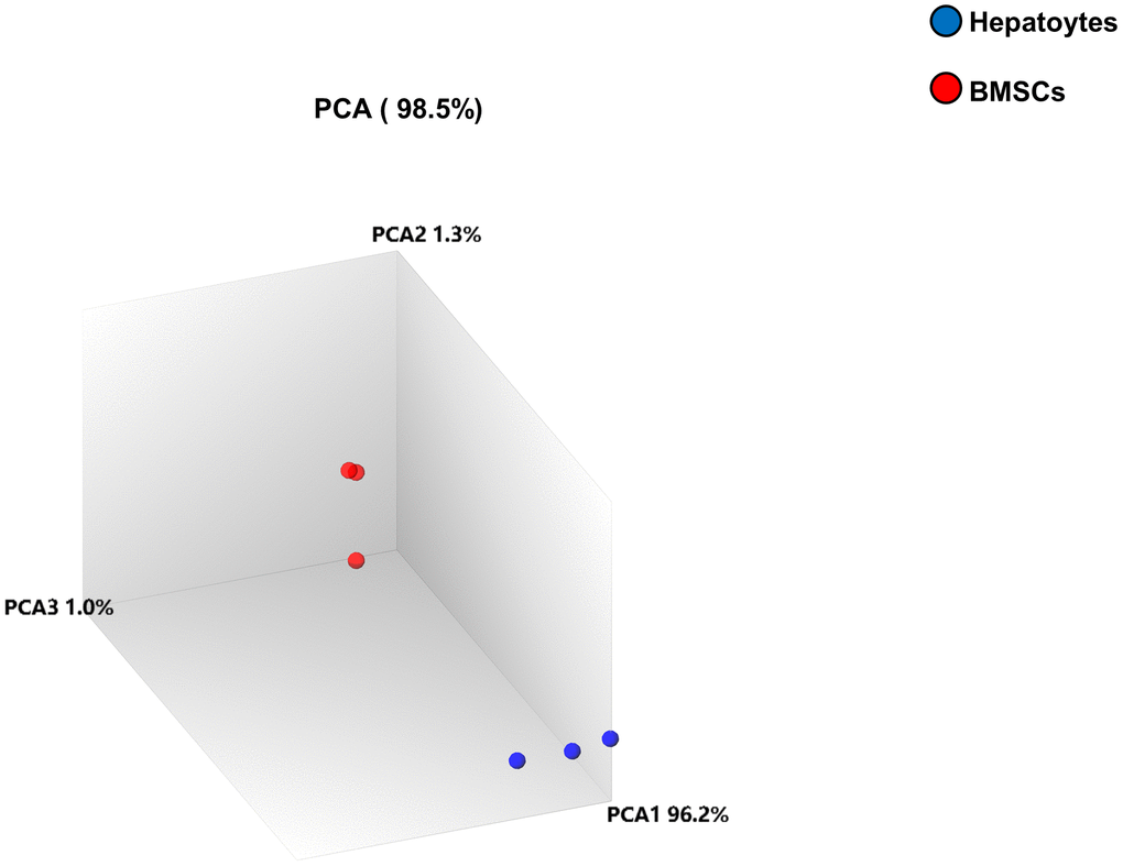 Principal-component analysis (PCA). PCA was performed between the two samples. The differently colored circles indicate the two different samples. The blue and red circles denote the hepatocyte samples and BMSC samples, respectively. The contribution of PCA1, PCA2, and PCA3 to the total mapped difference (98.5%) is 96.2%, 1.3% and 1.0%, respectively.