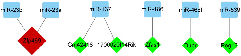 Regulatory network of miRNAs and its targeted lncRNAs. Cytoscape v. 3.8.2 software was used to visualize the relationship between miRNAs and their targeted lncRNAs. The green diamond nodes denote the lncRNAs and blue square nodes denote the miRNAs. LncRNAs targeting two miRNAs are shown in red.