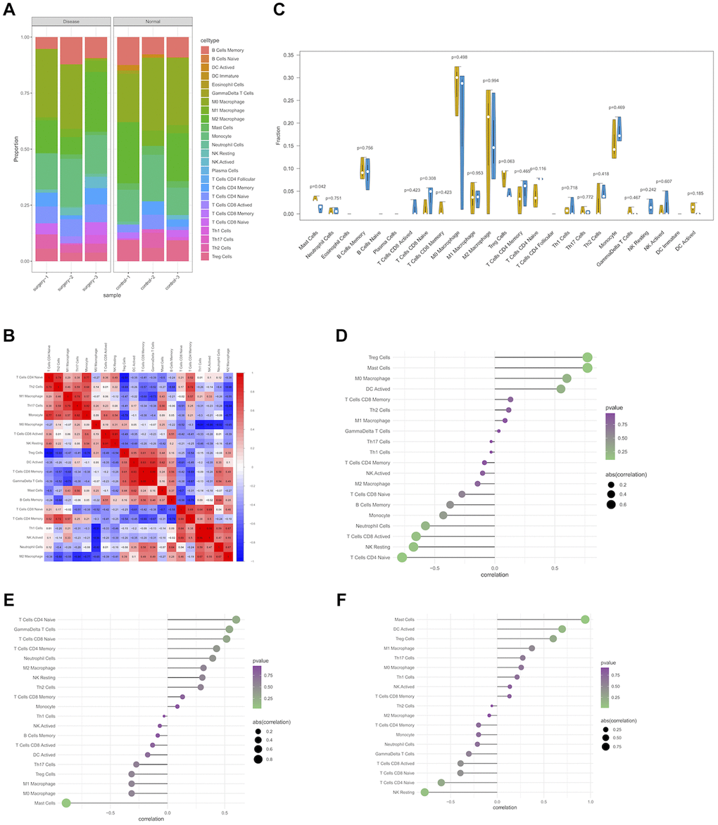 Immune infiltration of PND group and control group in experimental data. (A) Boxplot of the relative percentage of different types of immune cells in PND and non-PND mice. (B) The heat map shows the correlation of CIBERSORT infiltrating innate immune cells, with blue indicating negative correlation and red indicating positive correlation. (C) Differences in immune infiltration between PND group (blue) and control group (yellow). (P P-value. (D) The correlation between Unc13C expression and immune cell content (E), the correlation between Tbx20 expression and immune cell content (F), and the correlation between St8sia2 expression and immune cell content.
